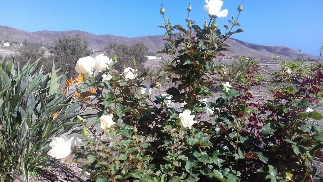 Finca Los Rosales Lajita Dış mekan fotoğraf