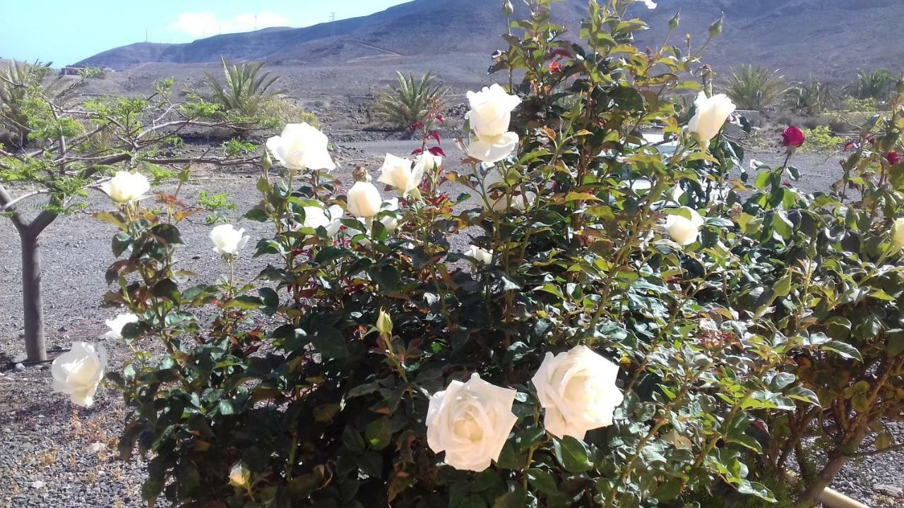 Finca Los Rosales Lajita Dış mekan fotoğraf