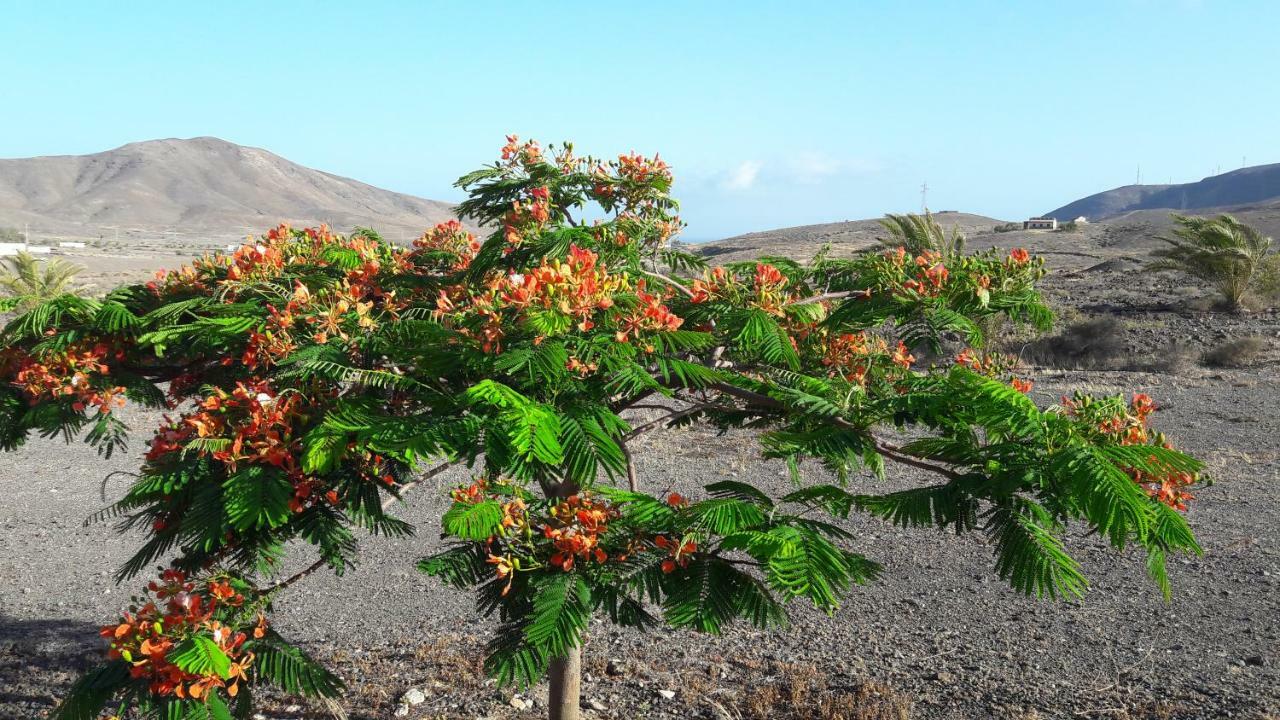 Finca Los Rosales Lajita Dış mekan fotoğraf